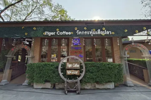 Tiger Coffee วัดกระทุ่มเสือปลา
