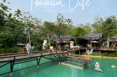 ต้นน้ำคาเฟ่ทุ่งสง