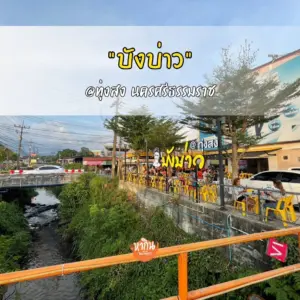 บังบ่าว สาขาทุ่งสง