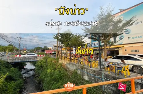 บังบ่าว สาขาทุ่งสง