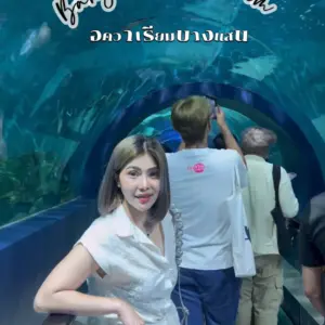 Bangsaen Aquarium