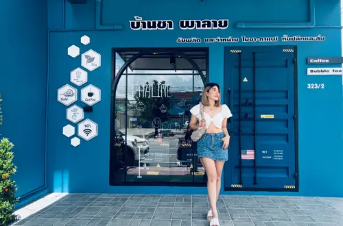คาเฟ่น้องใหม่ทุ่งสง “บ้านชา ผาลาย”
