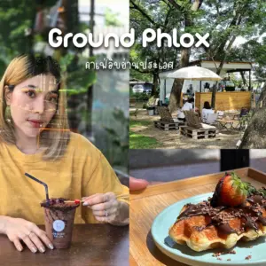 Ground Phlox