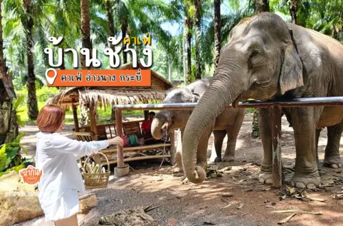 Baan Chang Café จ.กระบี่