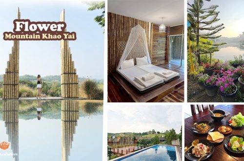 ฟลาวเวอร์เมาน์เทน Flowermountain Khaoyai.