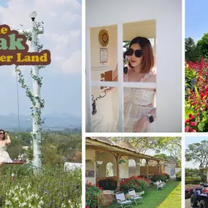 The Peak Flower Land เดอะ พีค ฟลาวเวอร์ แลนด์