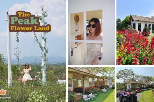 The Peak Flower Land เดอะ พีค ฟลาวเวอร์ แลนด์