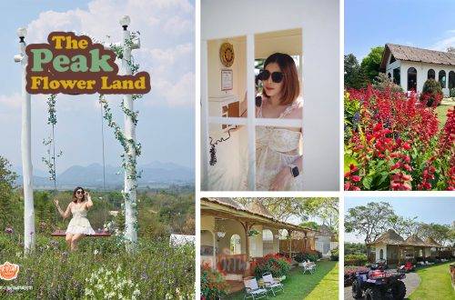 The Peak Flower Land เดอะ พีค ฟลาวเวอร์ แลนด์